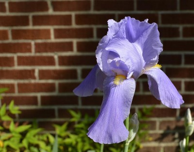 DSC_0005_2.JPG