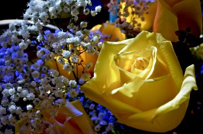 DSC_0652.jpg