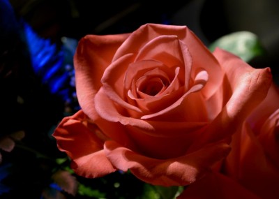 DSC_0660.jpg