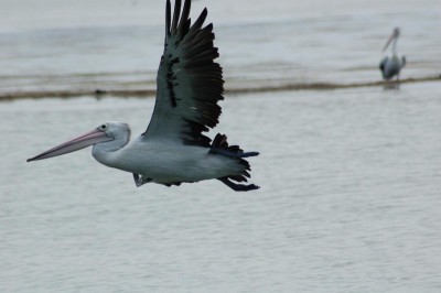 DSC_0038.JPG