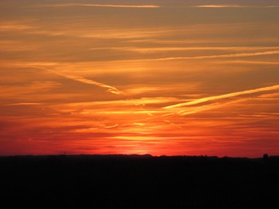 IMG_3170.JPG