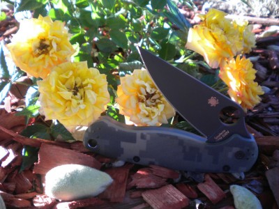 DSCN5210.JPG