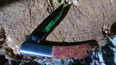 WP_20160418_10_00_04_Pro.jpg