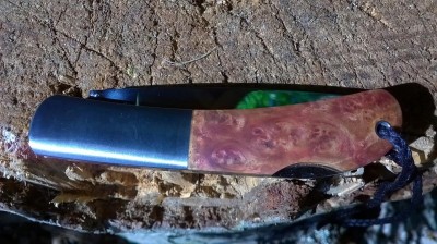 WP_20160418_10_00_22_Pro.jpg