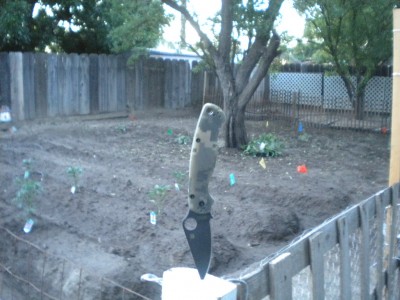 DSCN5225.JPG