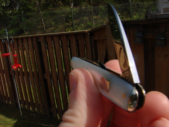 DSC03387.JPG