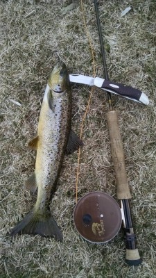spring2016 032.jpg