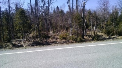 spring2016 051.jpg