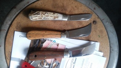20160425_085922.jpg