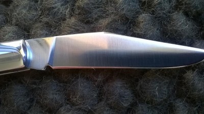 WP_20160421_14_05_28_Pro.jpg