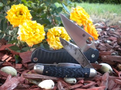 DSCN5193.JPG