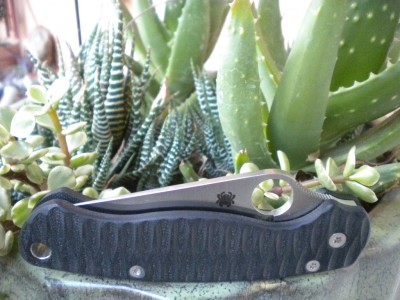 DSCN5196.JPG