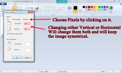 3) Resizing Image in Microsoft Paint-2-1.jpg