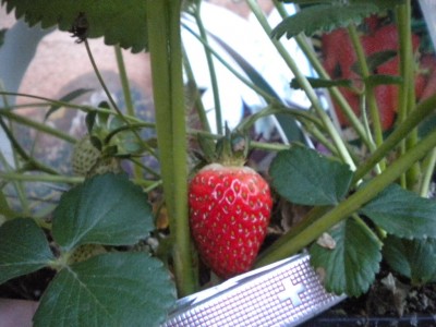 DSCN5239.JPG