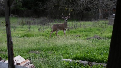 20160219_120908.jpg