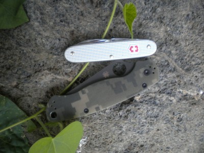 DSCN5446.JPG