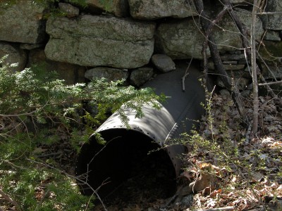 Water Pipe for Factory from Northfield Brook Holding Pond DSCN8724.jpg