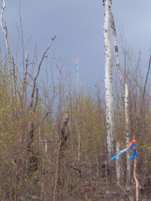 easement 3.jpg