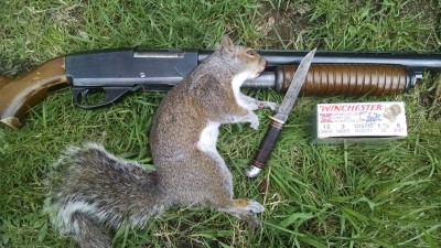 IMG_20160507_112614966.jpg