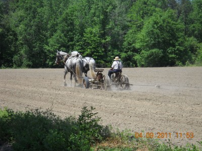 Mr. Smoker planting corn in 2011