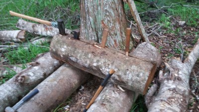 20160521_103309.jpeg