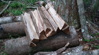 20160521_111441.jpeg