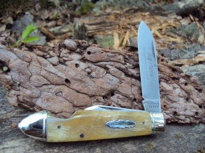TAB TL-8 resize.jpg