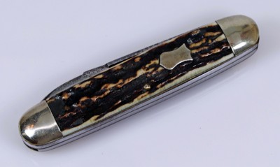 Graef &amp; Schmidt Welkut Cattle