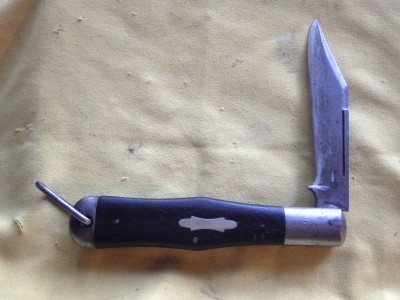 RIMG0559.JPG