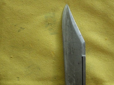RIMG0561.JPG