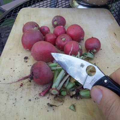 Putting the Spydie to work today