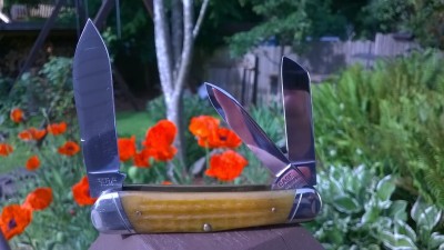 WP_20160601_08_46_32_Pro.jpg