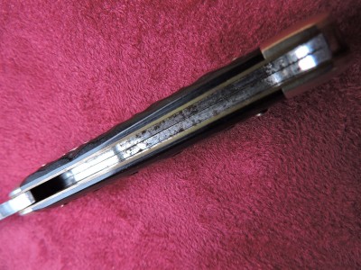 DSCN1668.JPG