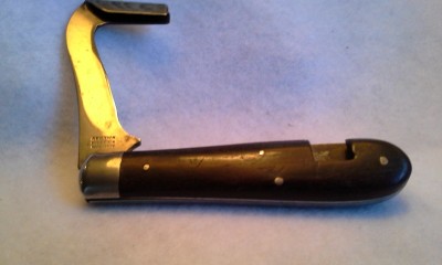 20160607_101426.jpg