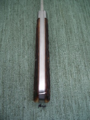 scchawk 005.JPG