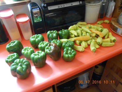 2016-06-17 001 001.JPG
