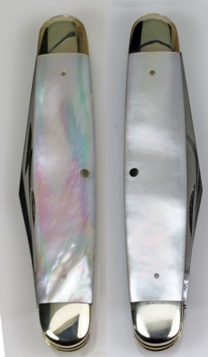 Case Bradford Penna 8345 1/2 SABER