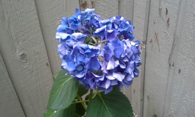 20160621_175703.jpg