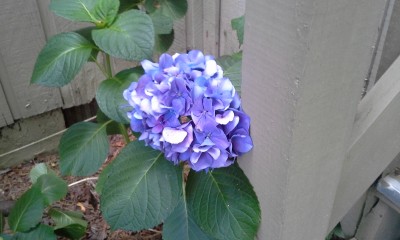 20160621_175654.jpg