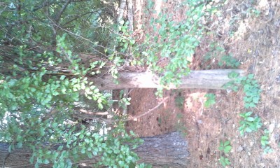 20160621_175919.jpg