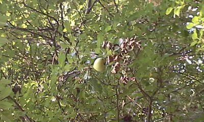 20160621_175830.jpg