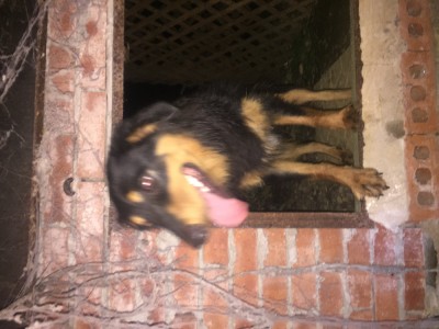 image.jpeg