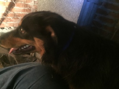 image.jpeg