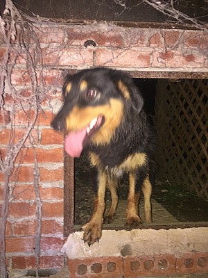 image.jpg