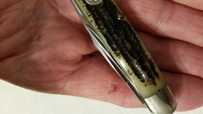 20160628_091448.jpg