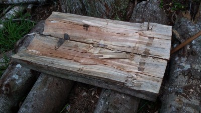 20160521_104037.jpg