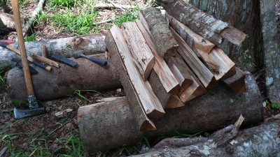 20160521_112923 (1).jpg