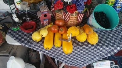 20160701_164202.jpg