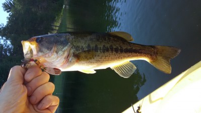 20160706_174007.jpg