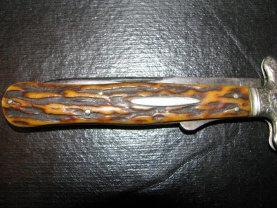 Stag0029.jpg